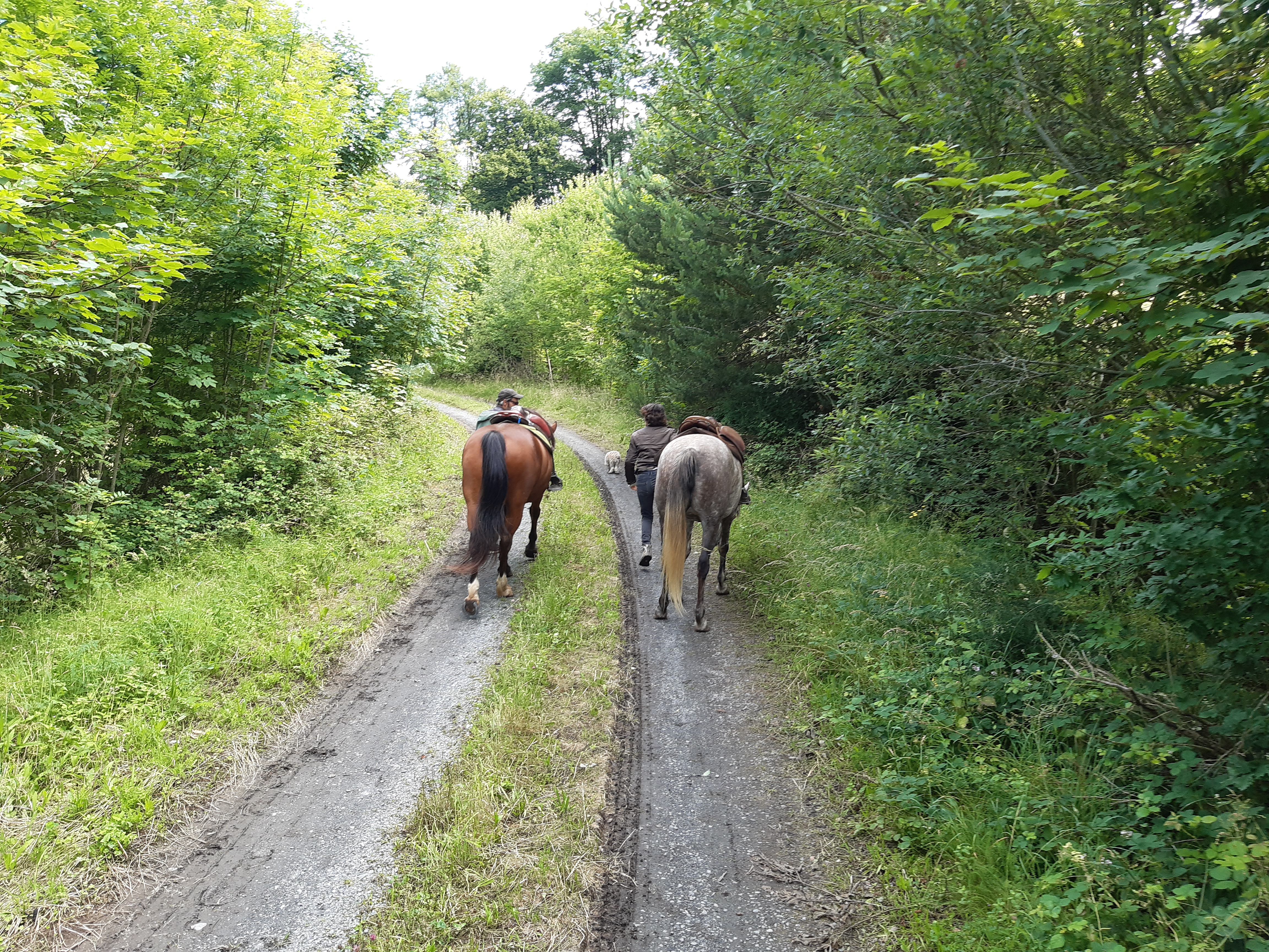 En chemin