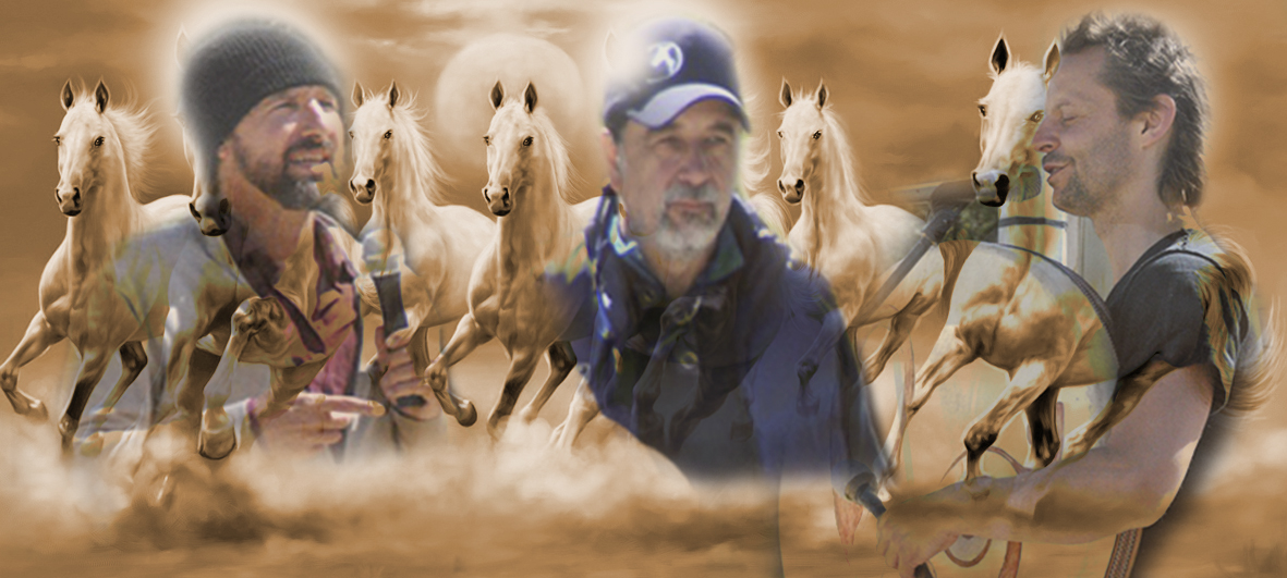 visuel chevaux tolteques 2020 -2